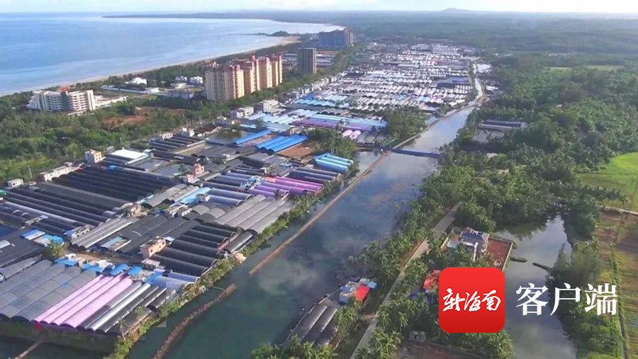 关注市县党代会 | 文昌将打造亚洲高端渔货贸易中心