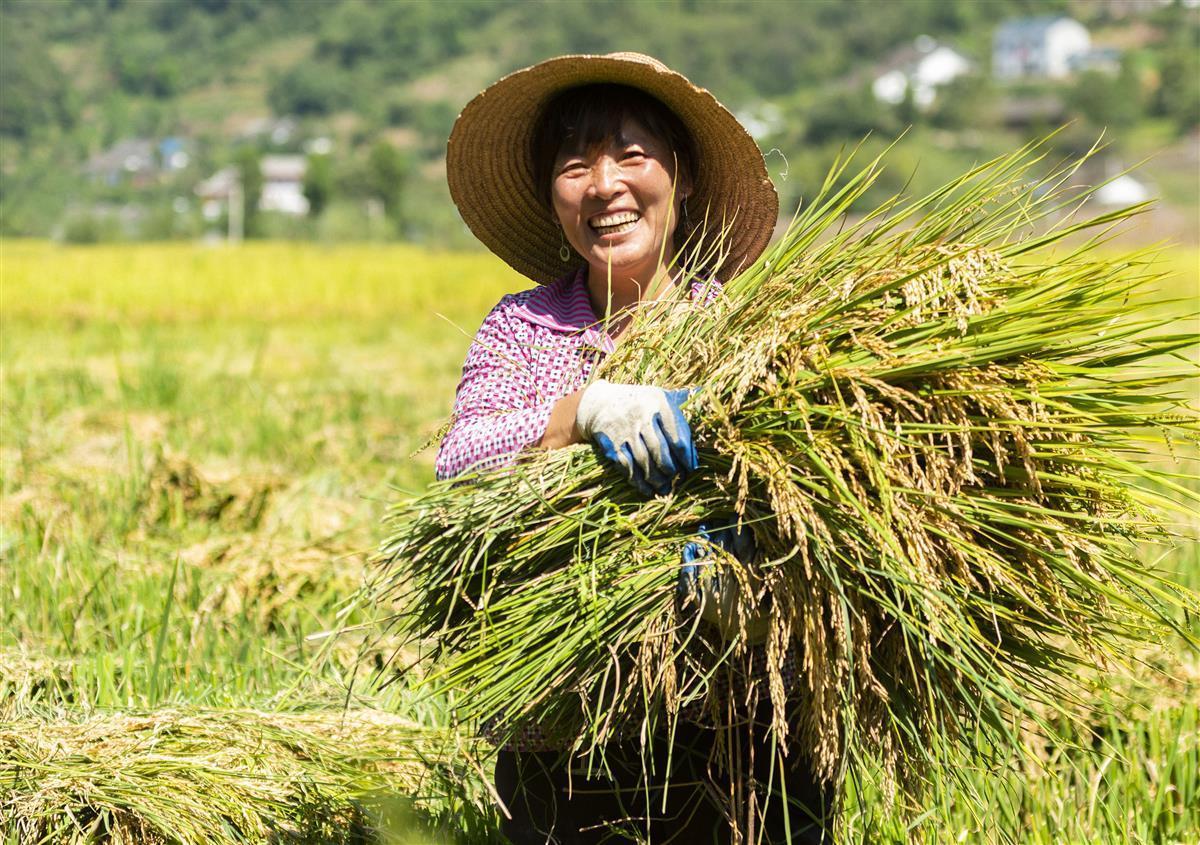 湖北省“一链两县”入选全国农业全产业链重点链和典型县