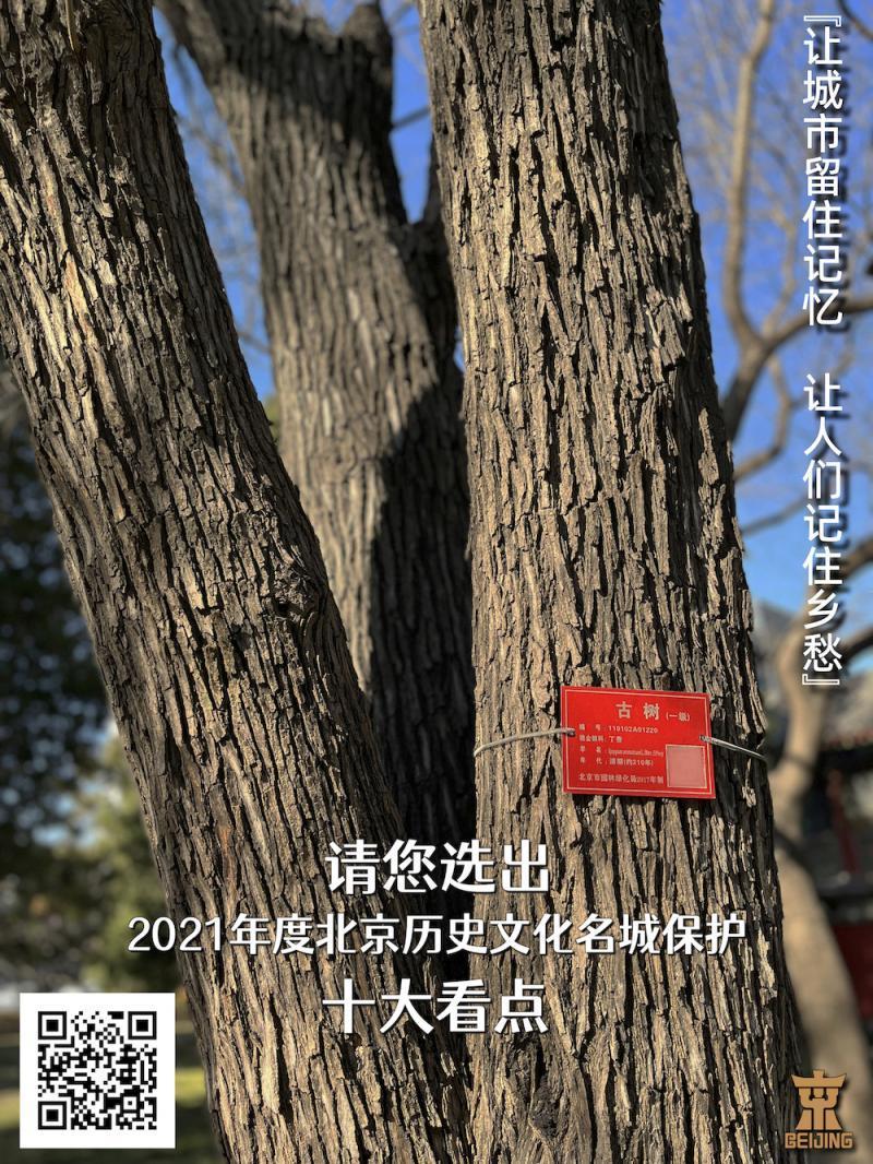 2021年度北京历史文化名城保护十大看点评选启动