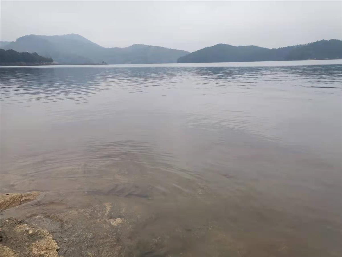 调水防涝能力大幅提升 武汉新洲区完成127个重点水利项目