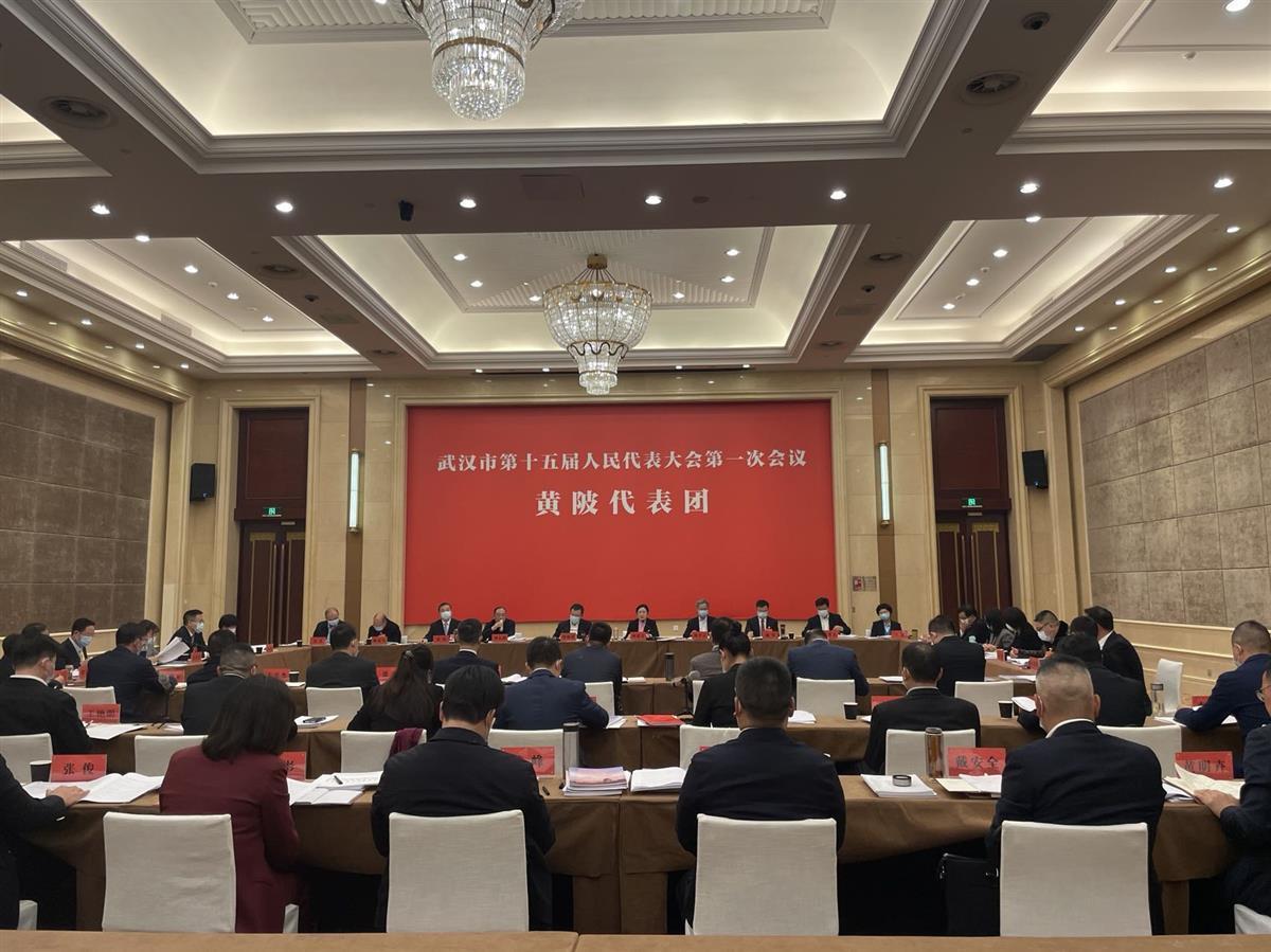 武汉市两会代表、委员热议：“副城做优”打造武汉新增长极