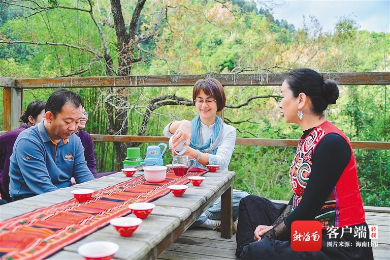 海南省内主流媒体为五指山红茶直播带货