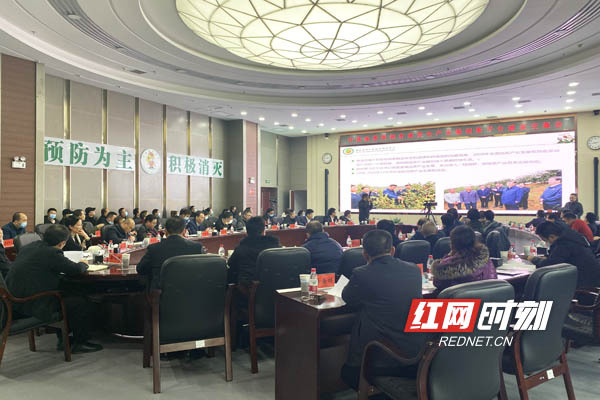 湖南省林业局召开中国油茶科创谷油茶全产业链创新平台建设座谈会