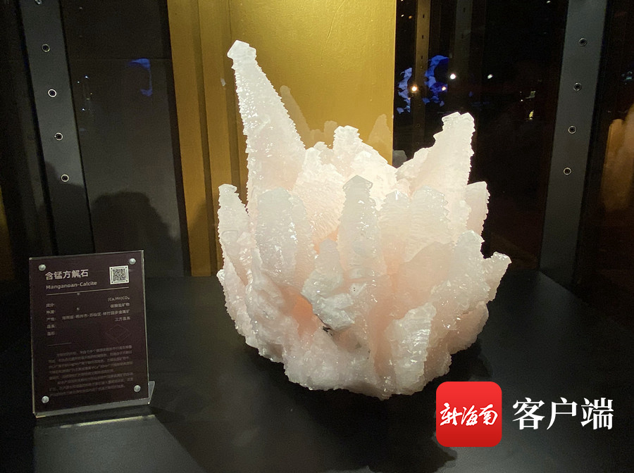 椰视频 | “国际矿晶艺术展·晶华”海口展出 展出33件珍贵矿晶藏品