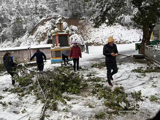 新年开工第一天，汀祖镇清雪除障在行动