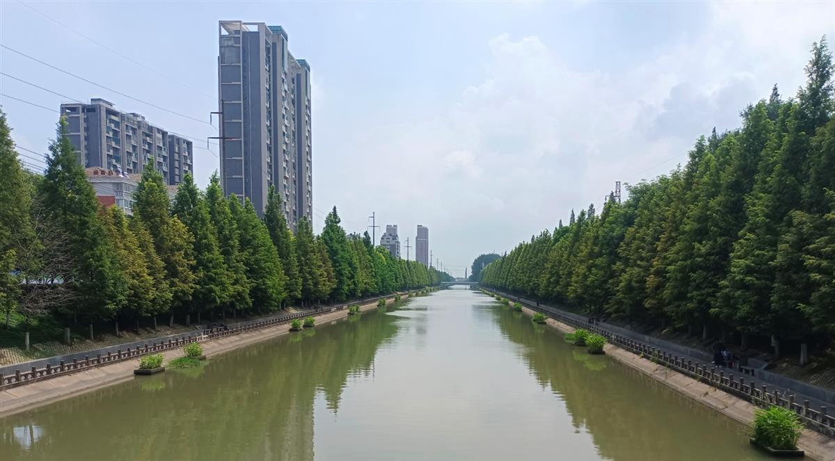 湖北长江入河排污口整治完成年度目标：已整治5186个排污口 全省推荐6个典型案例