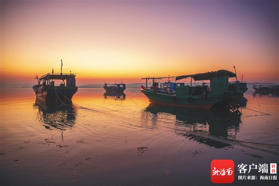海南周刊 | 儋州女大学生返乡打造乡村旅游基地：归巢筑梦在渔家