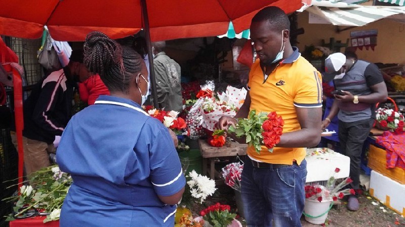 全球连线｜疫情趋缓 肯尼亚鲜花市场回暖