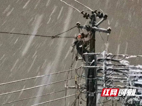 暴雪来袭丨树枝压断暮云镇供电线路 工作人员连夜抢修为172户居民复电