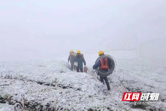 嘉禾：多部门协同作战 应对低温雨雪冰冻灾害天气