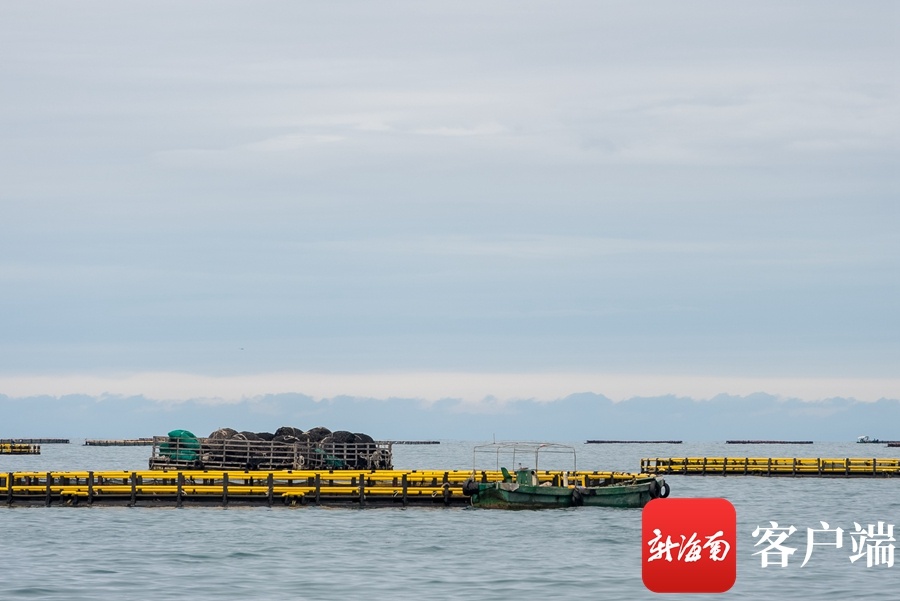 椰视频 | 海南省深水网箱养殖规模全国排名第二 现代渔业发展驶入快车道