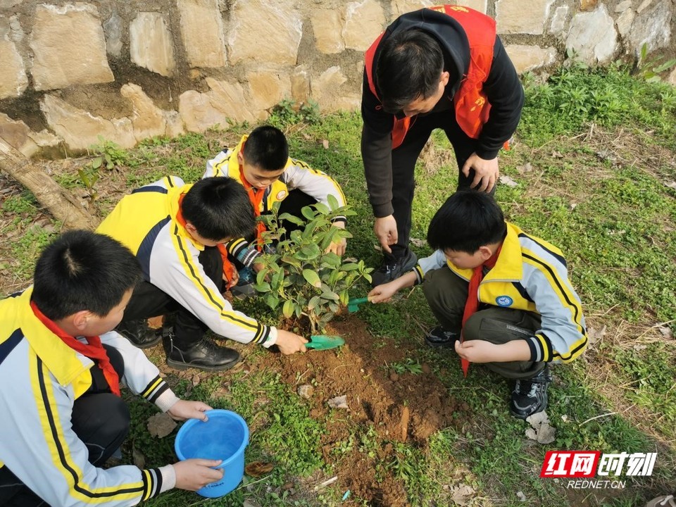 珠晖区：保护母亲河种下一抹绿 志愿者湘江河边植树