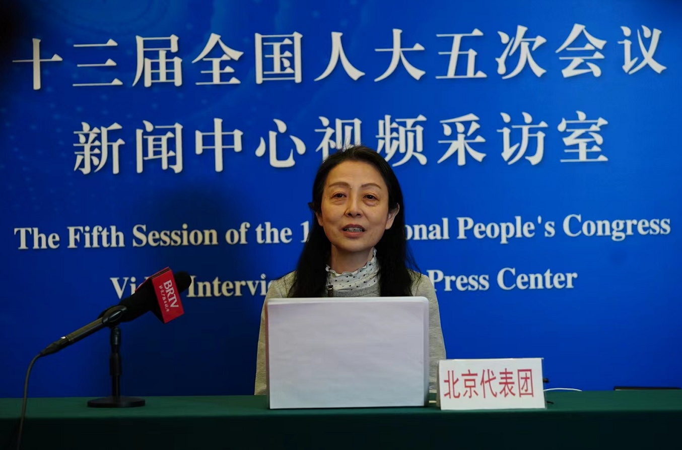 北京团齐玫代表：探索共商共建共享的民营博物馆筹建之路