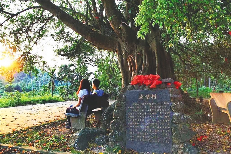电影《南溟奇缘之爱情树》即将上映 演绎海南传奇故事