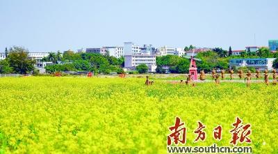 湛江坡头规划建设百个城市农业公园