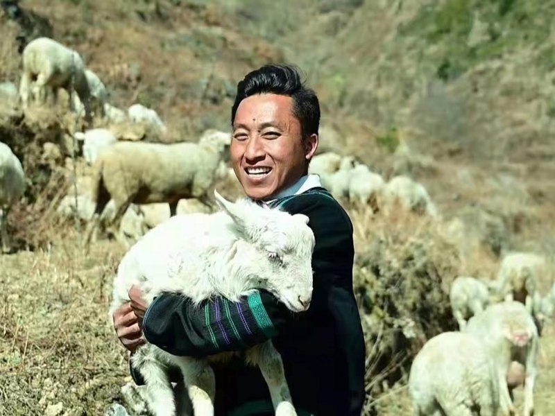【乡村不一“young”】大凉山里的大学生“羊倌” 田园若芜胡不归？