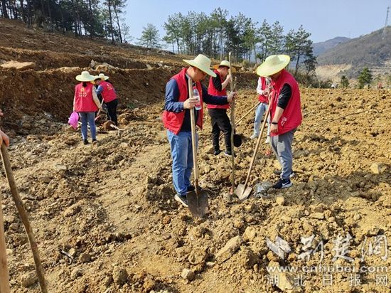大冶市审计局志愿服务队参与殷祖镇义务植树活动