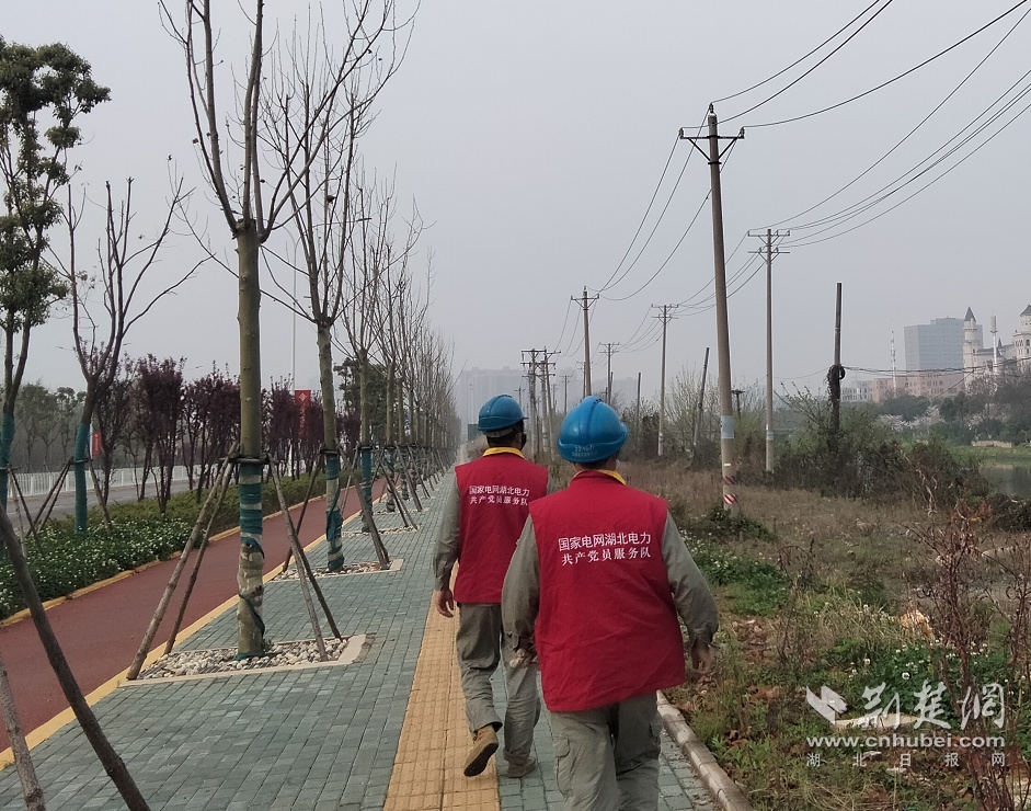 武汉供电公司:线路特巡保障强降雨期间供电安全可靠