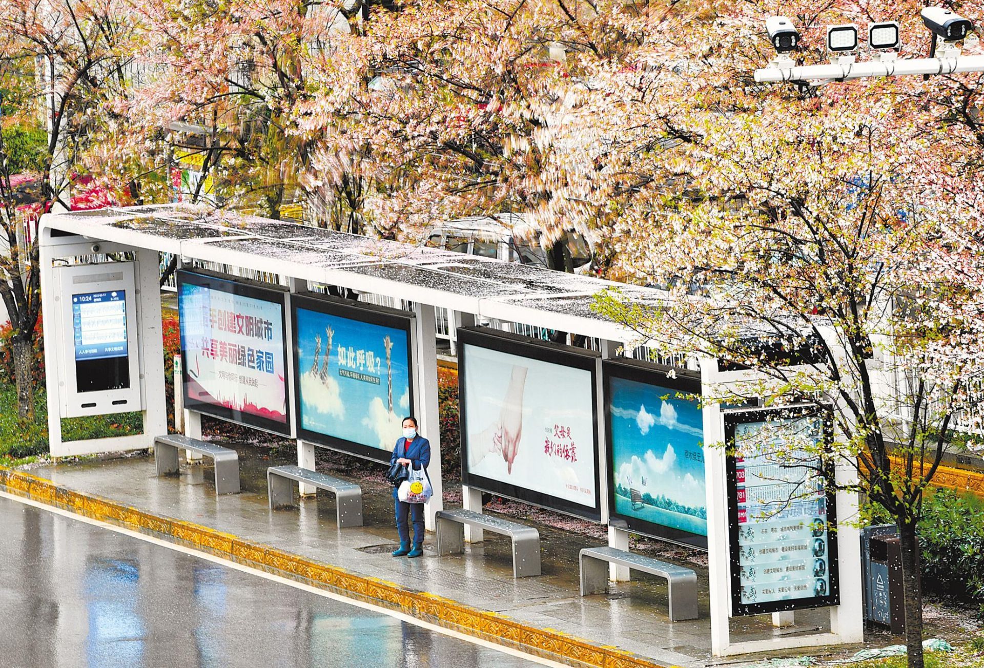 樱花公交车站