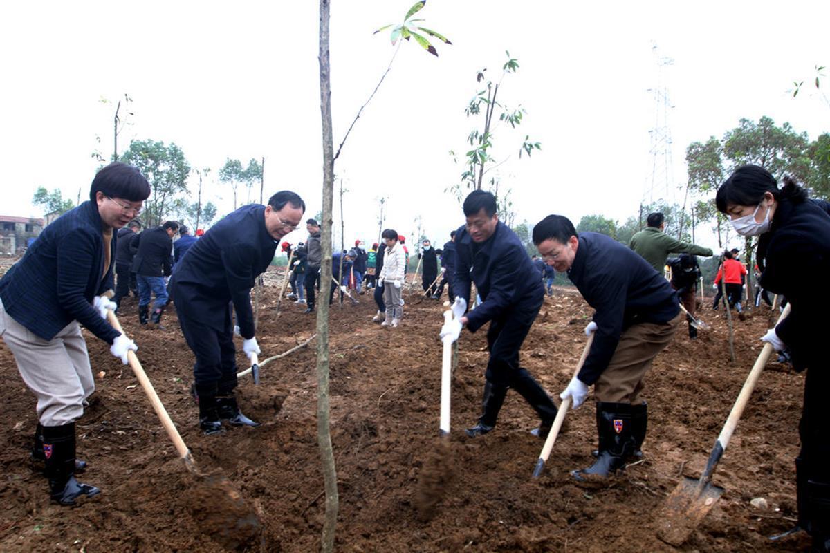 湖北省林业局干部职工带头义务植树