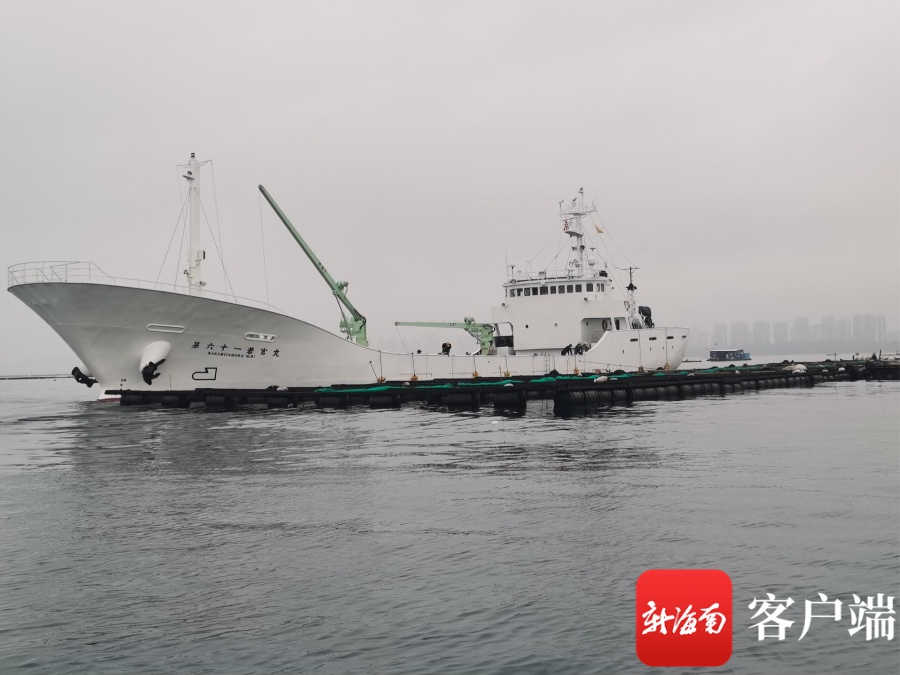 2022年海南首批17.28万尾章雄鱼鱼苗出口日本鹿儿岛