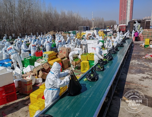 吉网江城“战疫”现场丨每天配送蔬菜4万份 公司员工、森林消防“联手”保供