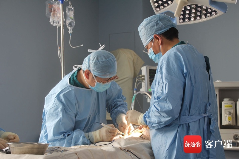 海南王毅教授团队推出异种肾移植研究新成果