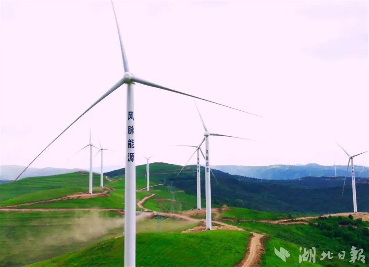 风脉能源牵手全球头部新能源基金