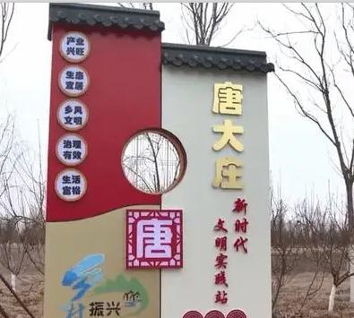 系列报道：京郊大地乡村振兴曲（三）唐大庄村紧抓环球度假区发展机遇促进农民增收