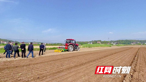专家助力绘春图！衡阳县大力推广大豆玉米带状复合种植技术