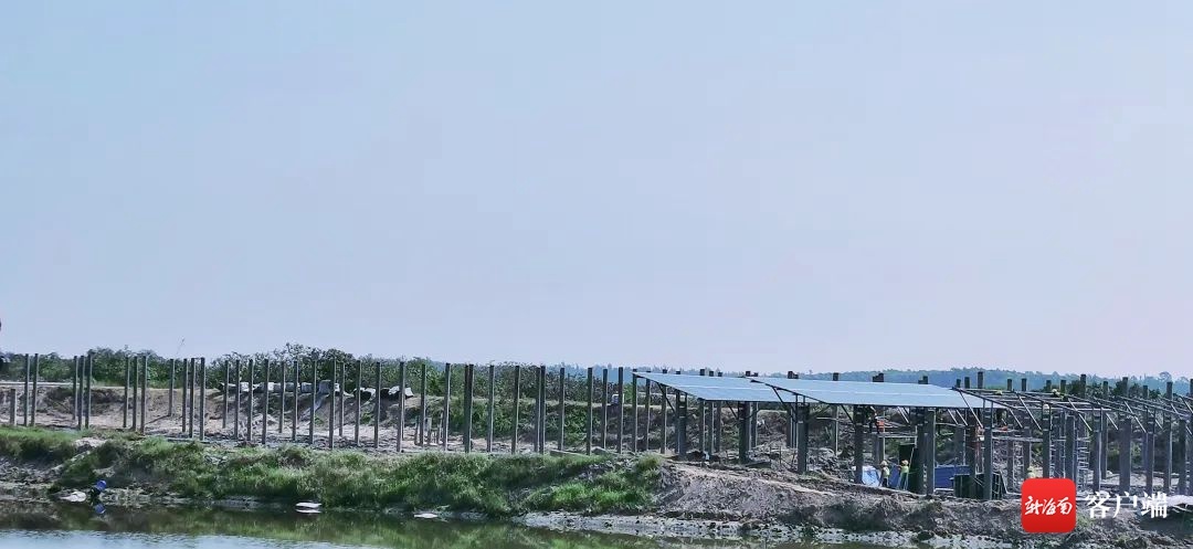 海南华电儋州100MW农光互补项目主体工程开工