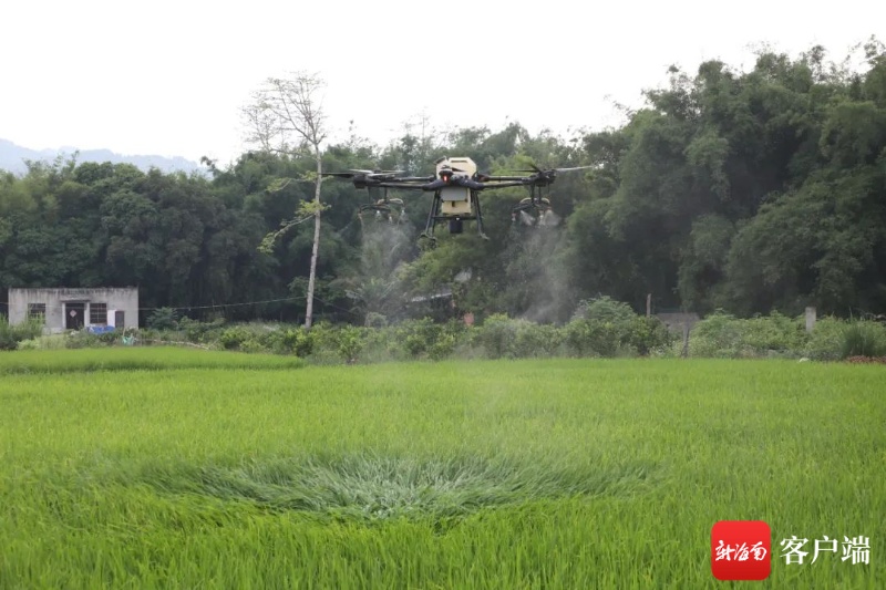 白沙无人机“上岗”治理耕地污染 高科技“一键”破解群众难题