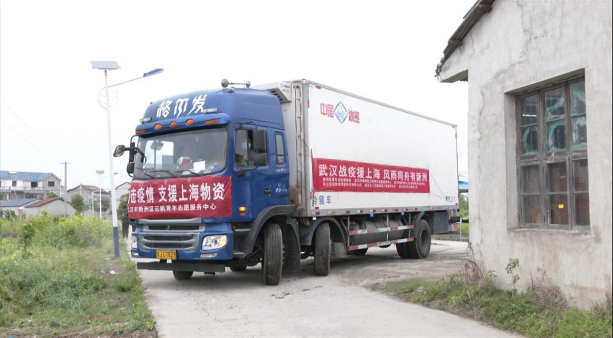 武汉志愿者采摘2.3万斤新鲜莴笋连夜送上海
