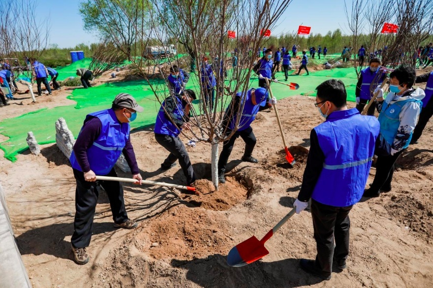 北京：关爱河流，永定河流域沿线种下“永定林”