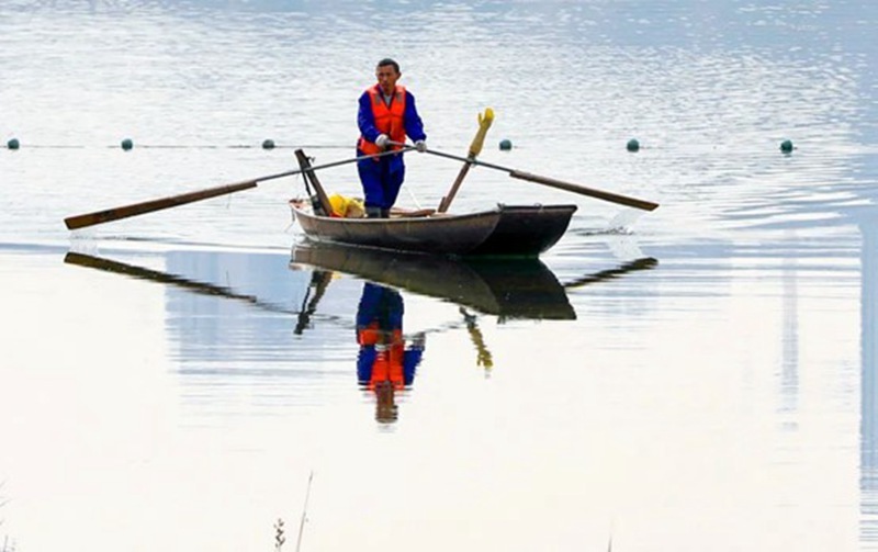 致敬“水生态维护者”！一人一舟，他们一年四季都“漂”在兴隆湖中