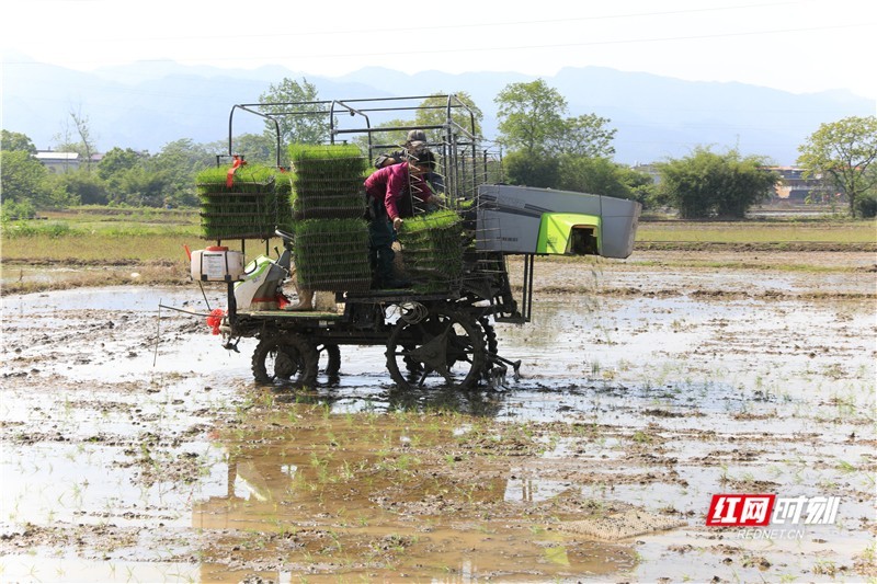 东安：成立农机服务公司 推进种粮机械化
