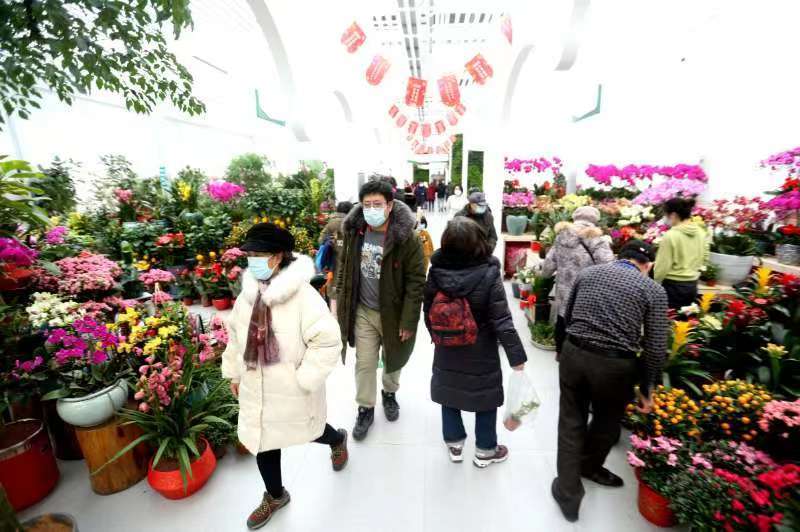 全国首个《花卉交易服务规范》地方标准落地北京丰台  6月发布
