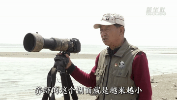 新华全媒+｜七旬护鸟人见证华北地区最大潟湖的生态之变