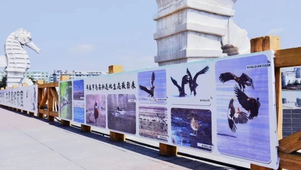 2022年吉林省“爱鸟周”活动圆满结束