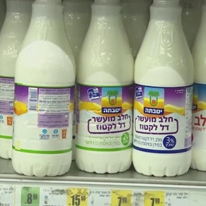 全球连线｜以色列实验室研发生产“人造奶”