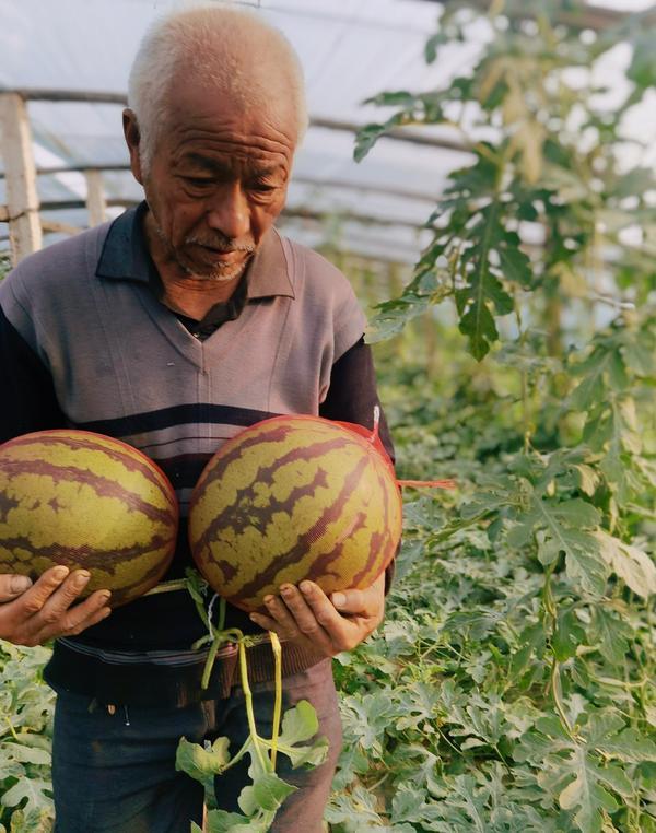 10天，600万斤西瓜被爱心“瓜分”！