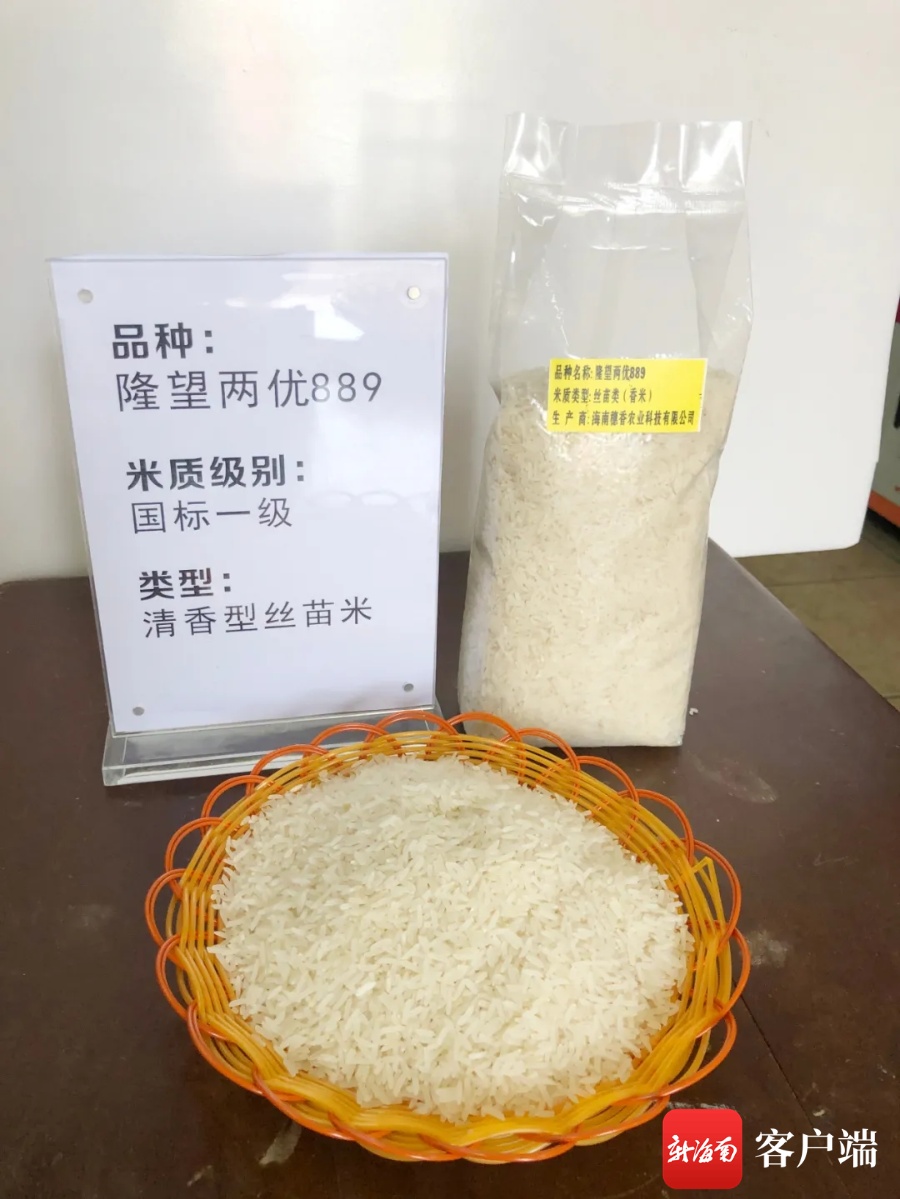 万宁市试验推广水稻品种“隆望两优889”获海南省第四届“海南好米”金奖