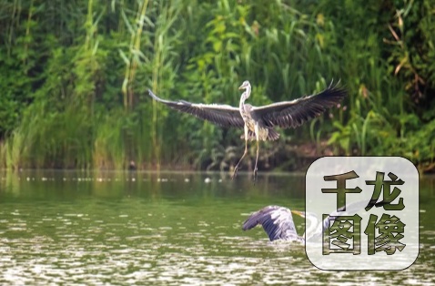 北京沙河湿地公园预计2022年年底完成主体建设