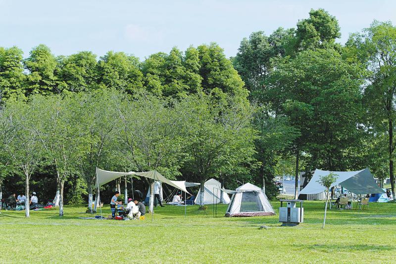 成都试点在公园绿道规划露营区：可搭帐篷天幕铺野餐垫 禁止搭吊床用明火过夜