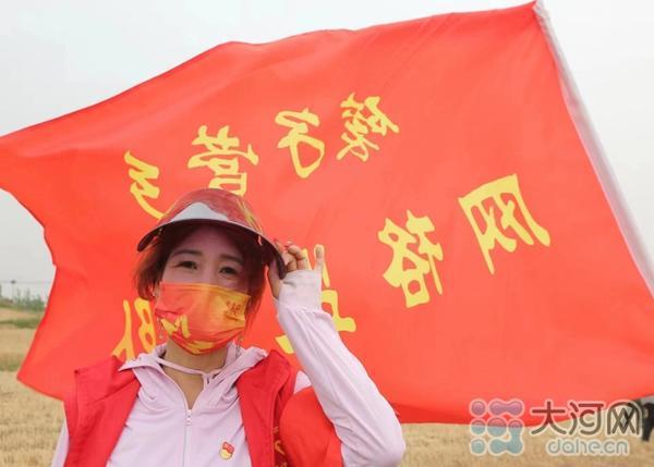 麦收故事丨鲁山县2000多个“巾帼志愿者互助组”助力三夏生产