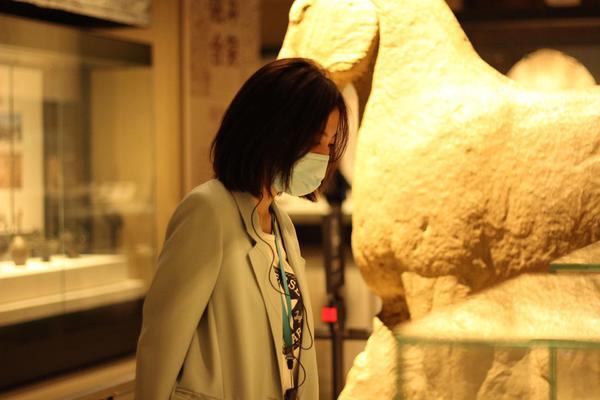 台胞豫言 豫见美好⑥丨推荐台湾同胞来河南博物院感受中原文化