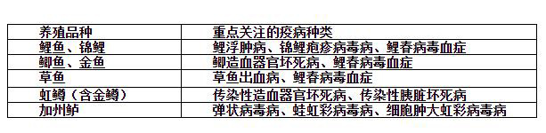 鱼病高发季，北京市农业农村局专家给你支高招