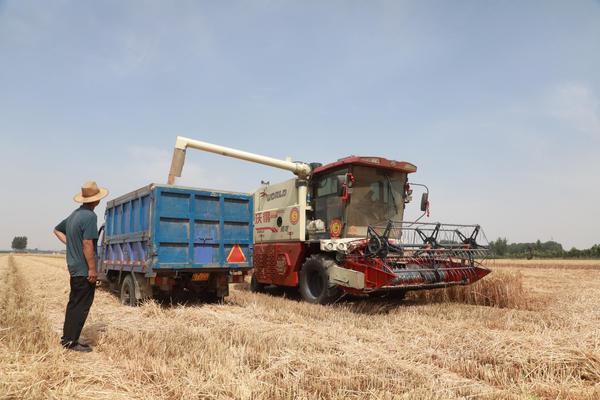 颗粒归仓丨温县38.1万亩小麦收割归仓 秸秆变成“金”