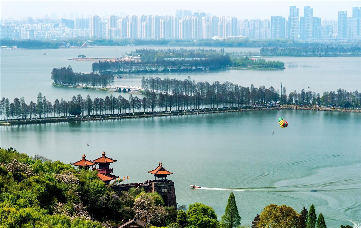 武汉获评“国际湿地城市” 是全球湿地保护最高成就