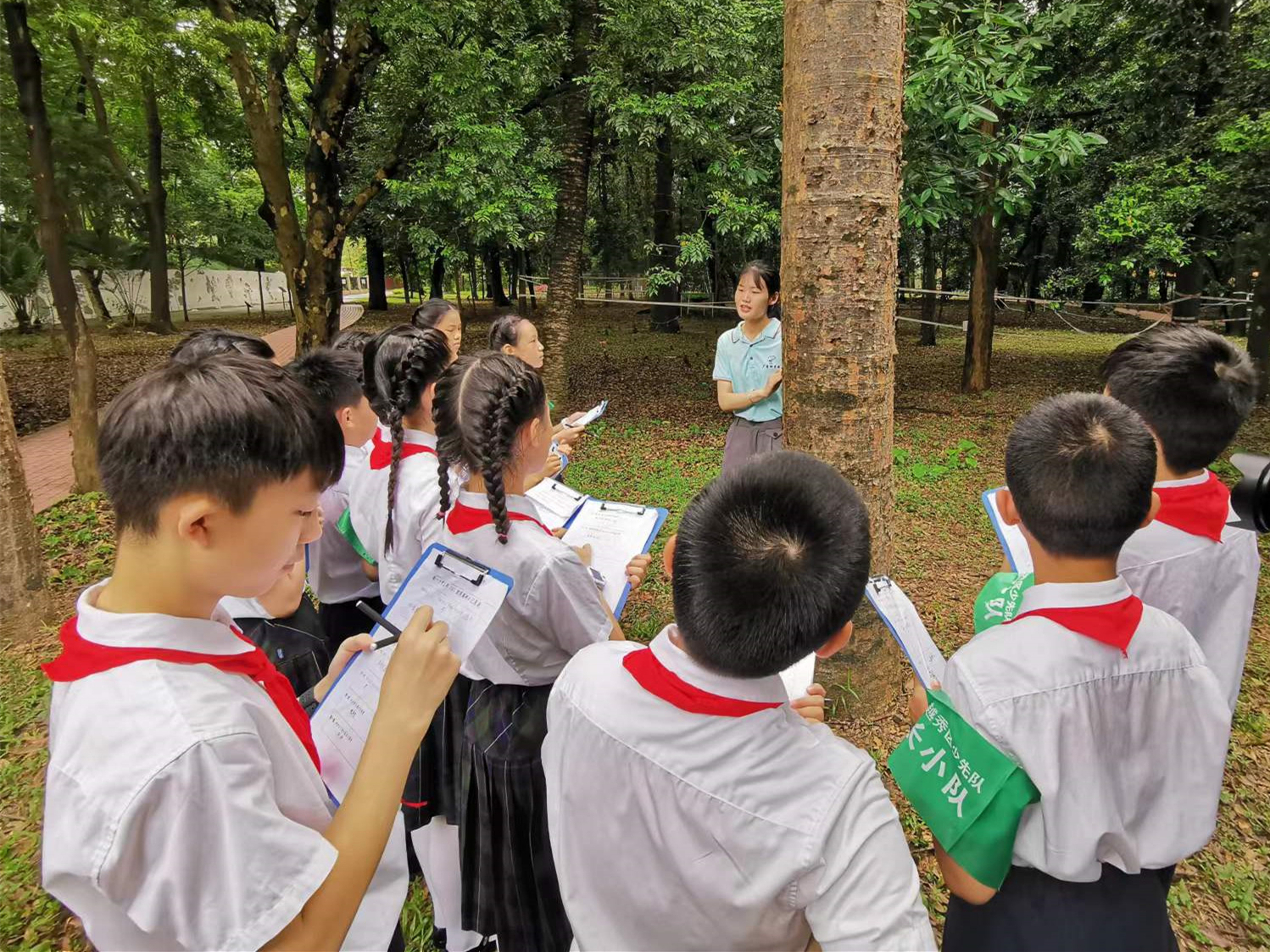 守护绿色能量 广州越秀区铁一小学“林长小队”行动中
